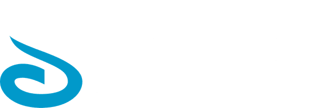 Stahla Services